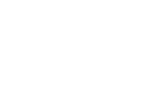 Sean Patrick's